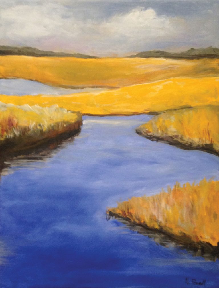 Sarah's Pond